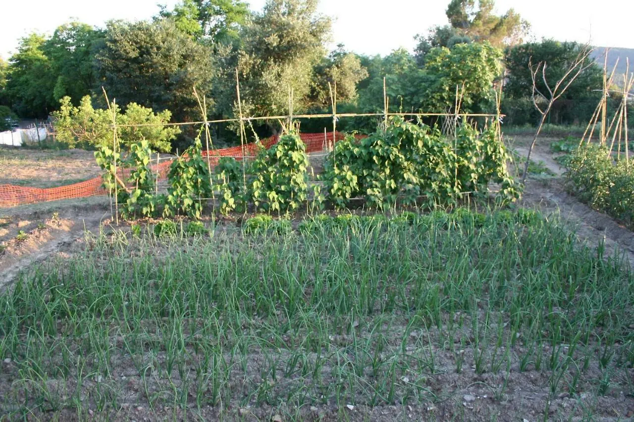 Mas Tulsa Casa Rural Girona Riudellots de la Creu Spanyolország